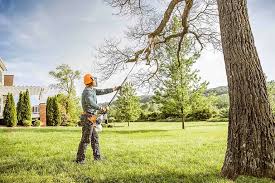 Best Tree Removal Service  in Mystic, CT